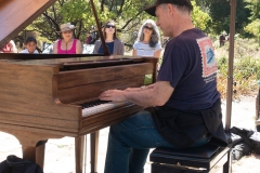 Flower Piano
