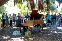 Flower Piano