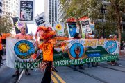 Rise for Climate Change,  San Francisco, 9-8-2018