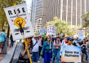 Rise for Climate Change,  San Francisco, 9-8-2018